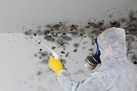 Best Environmental Consulting for Mold Prevention  in Washington Heights, NY